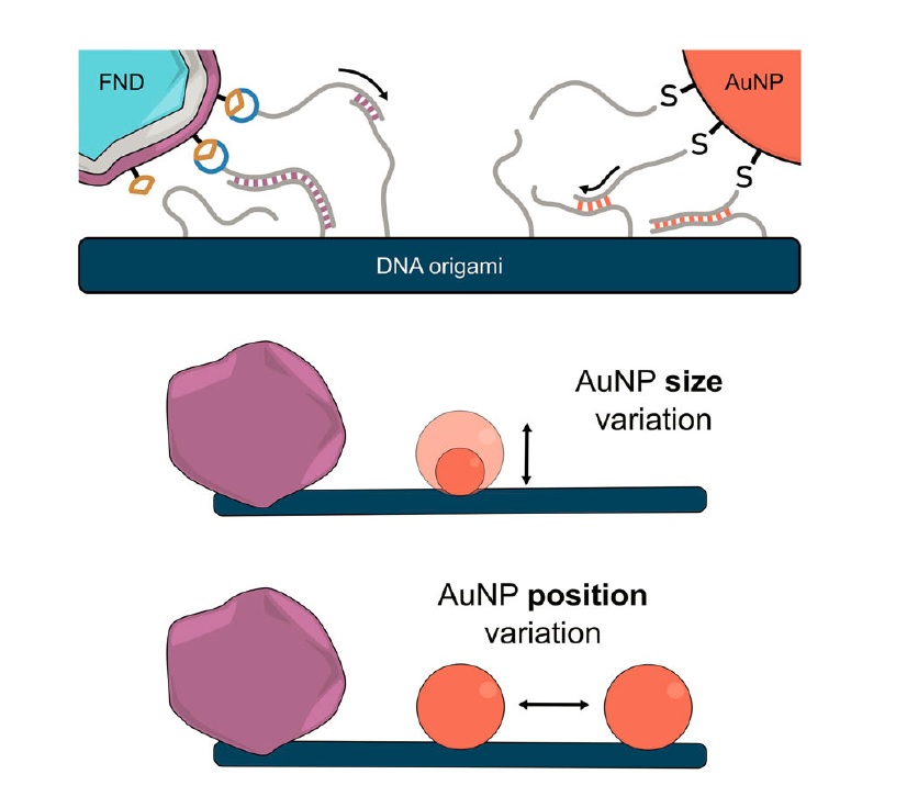 Small Struct - na web